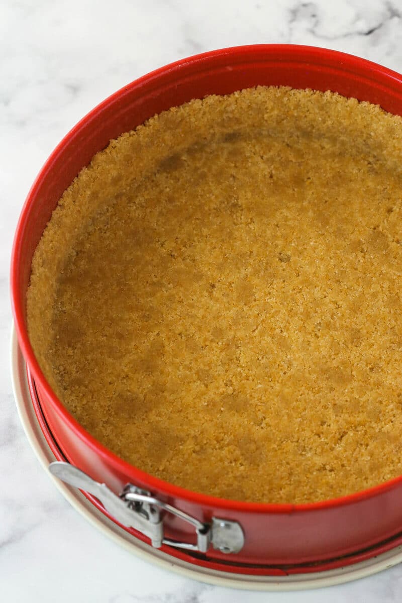 Vanilla wafer crust pressed into a springform pan ready to be filled.