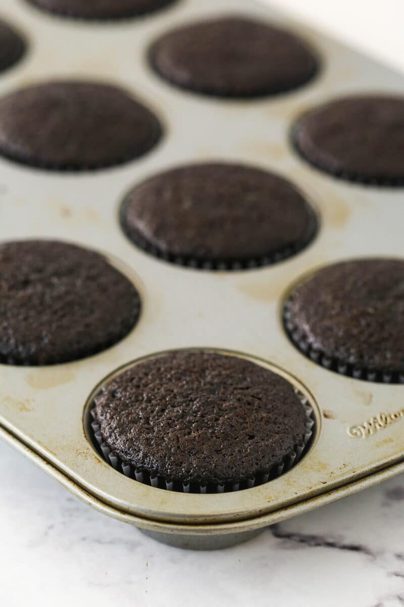 Chocolate cupcakes baked in cupcake tins.