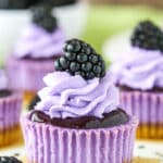 Mini Blackberry Lavender Cheesecakes on a white table top