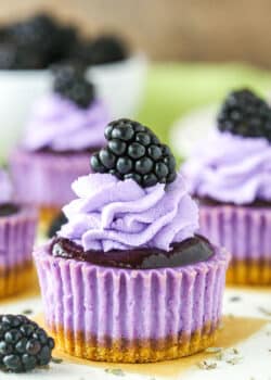 Mini Blackberry Lavender Cheesecakes on a white table top