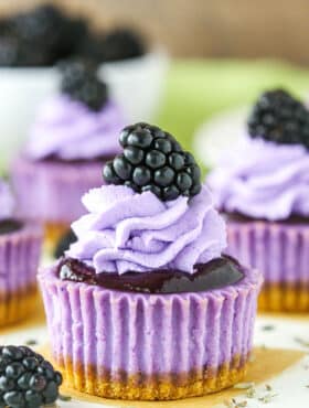 Mini Blackberry Lavender Cheesecakes on a white table top