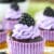 Mini Blackberry Lavender Cheesecakes