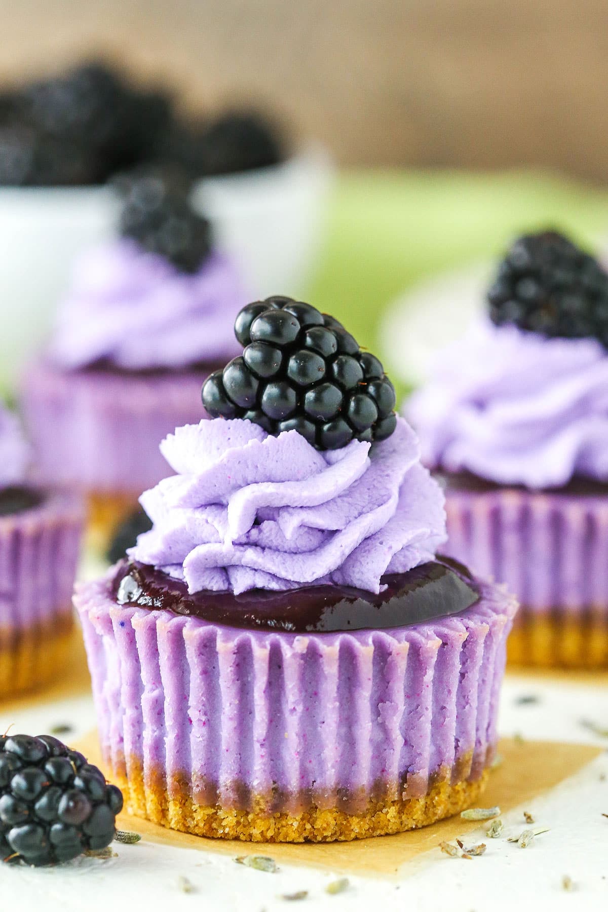 Mini Blackberry Lavender Cheesecakes on a white table top