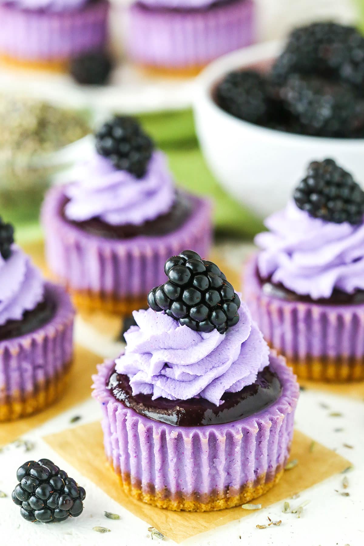 Mini Blackberry Lavender Cheesecakes on a white table top