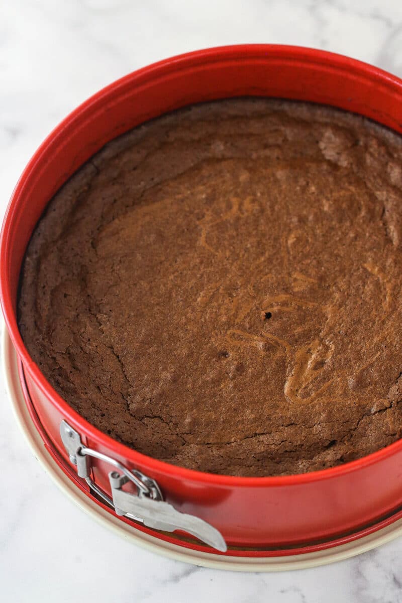 Brownie base for brownie bottom cheesecake in a springform pan.