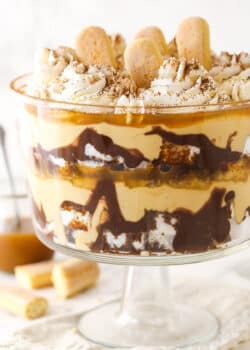 Tiramisu trifle with lady fingers and a jar of caramel sauce in the background.