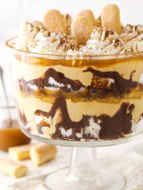 Tiramisu trifle with lady fingers and a jar of caramel sauce in the background.