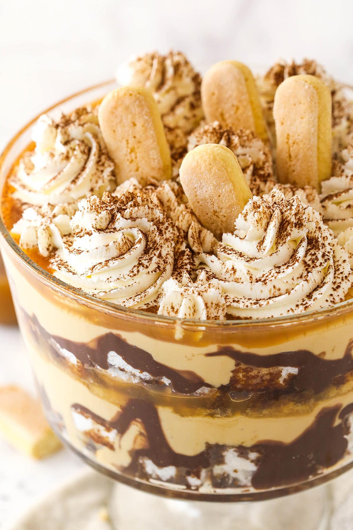 Closeup of tiramisu trifle.