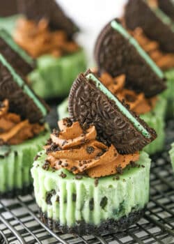 Side view of Mini Mint Chocolate Oreo Cheesecakes on a gray metal stand