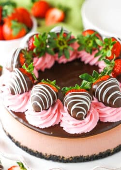 A full Chocolate Covered Strawberry Cheesecake on a white cake stand