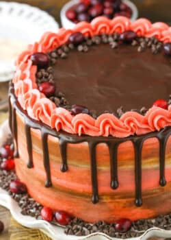 Overhead view of a Cranberry Fudge Layer Cake on a white platter