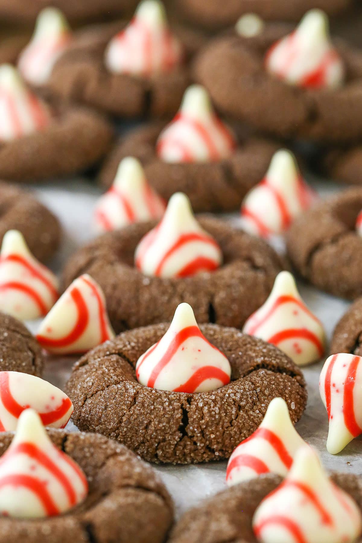 Peppermint Chocolate Thumbprint Cookies spread evenly over parchment paper