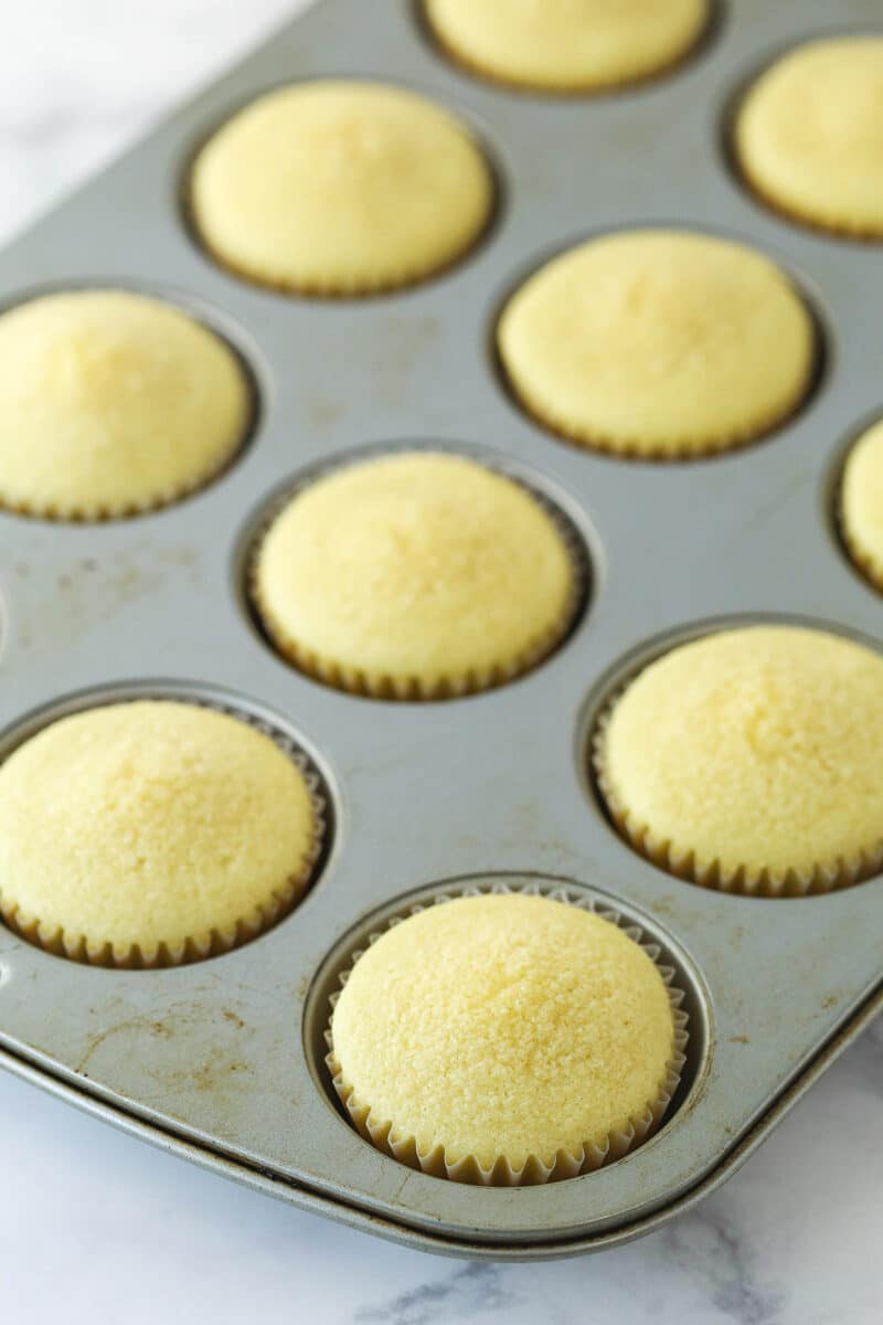 Vanilla cupcakes cooling in the pan.