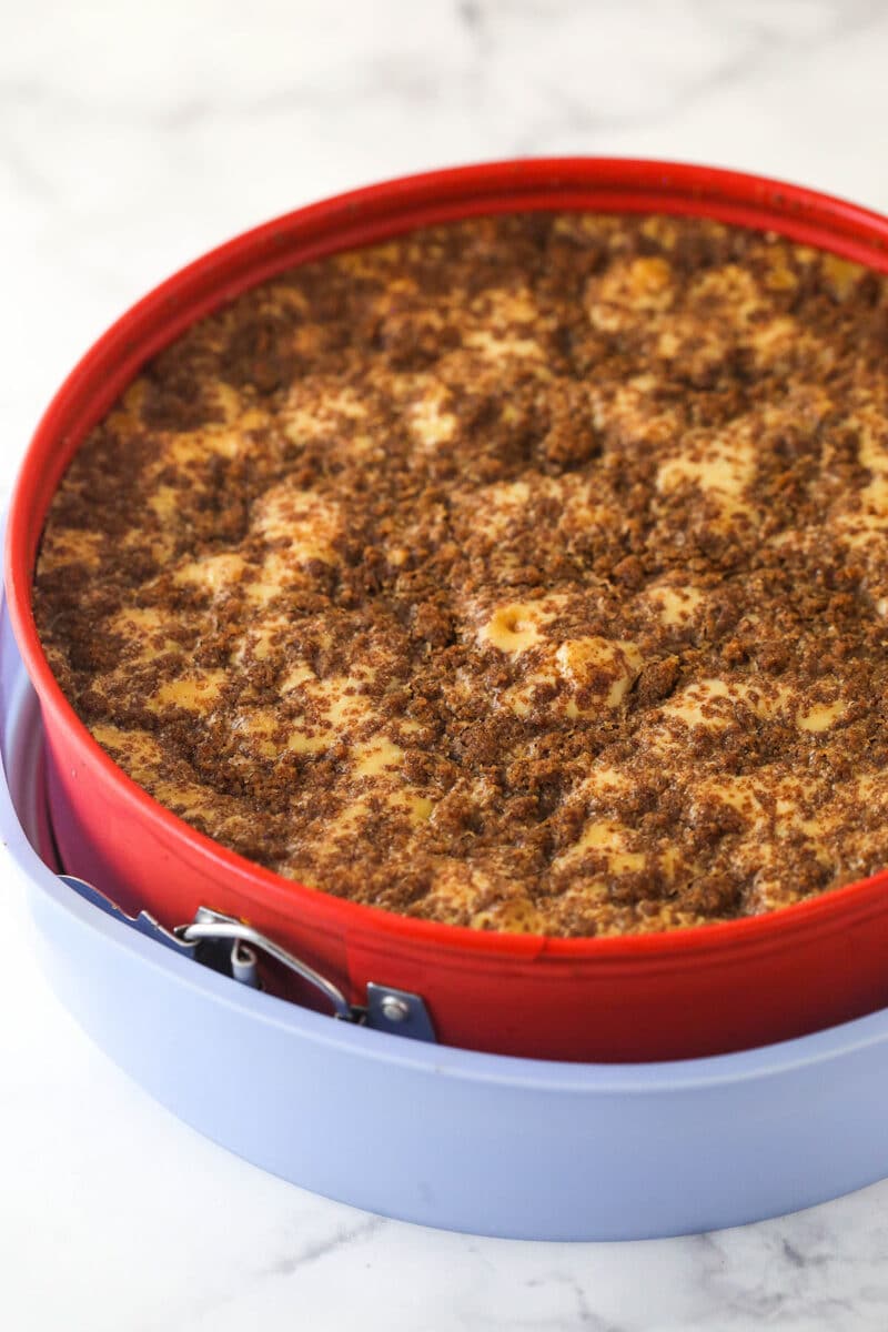 Cinnamon roll cheesecake baked in a springform pan.