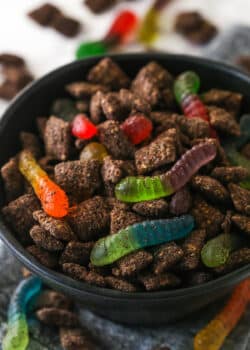 Close up of a black bowl filled with Dirt and Worms Puppy Chow.