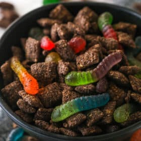 Close up of a black bowl filled with Dirt and Worms Puppy Chow.