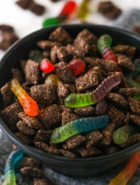 Close up of a black bowl filled with Dirt and Worms Puppy Chow.