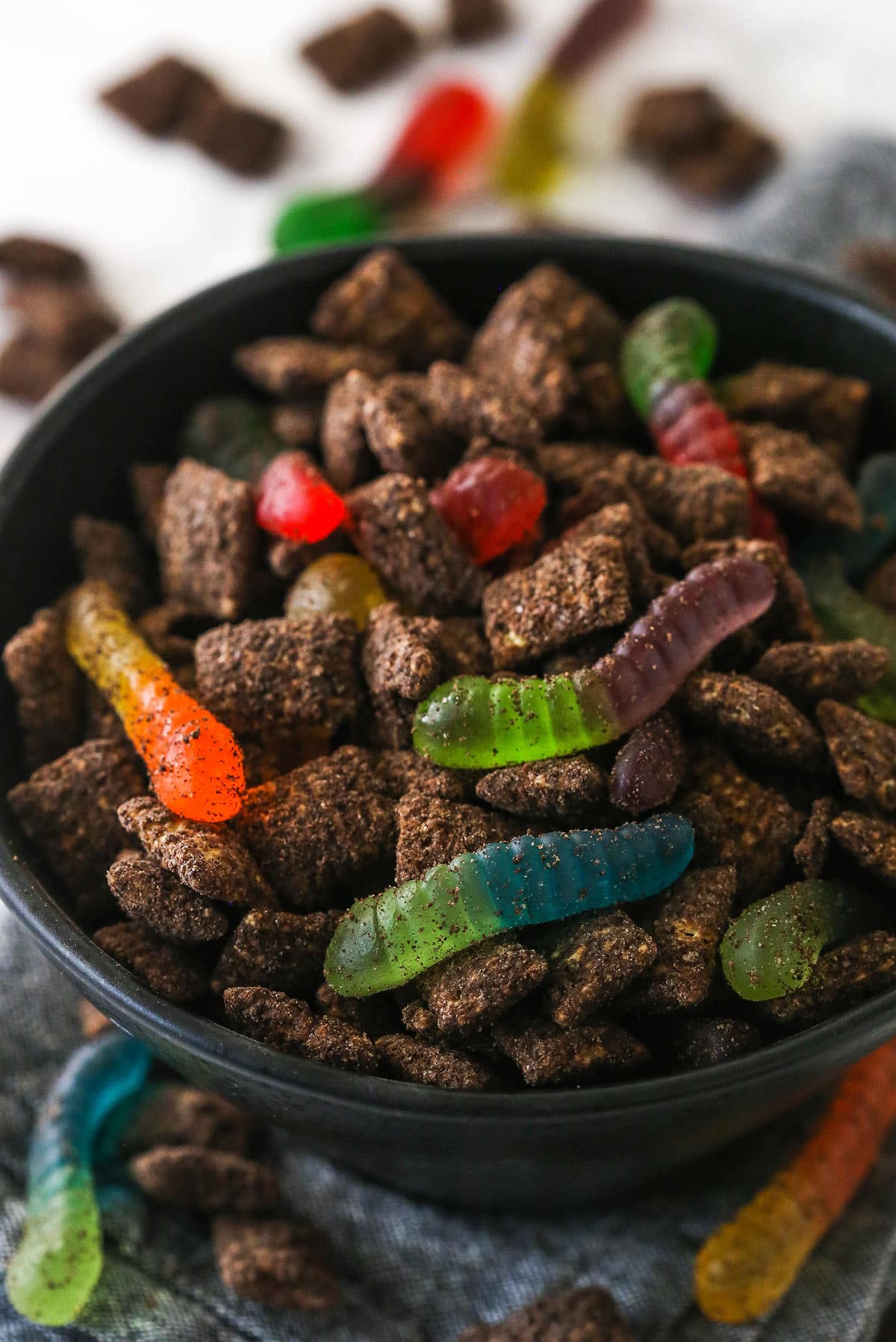 Close up of a black bowl filled with Dirt and Worms Puppy Chow.