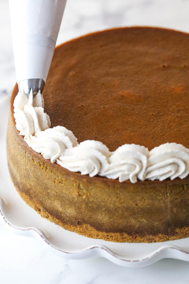 Piping whipped cream around the top edge of pumpkin pie cheesecake.