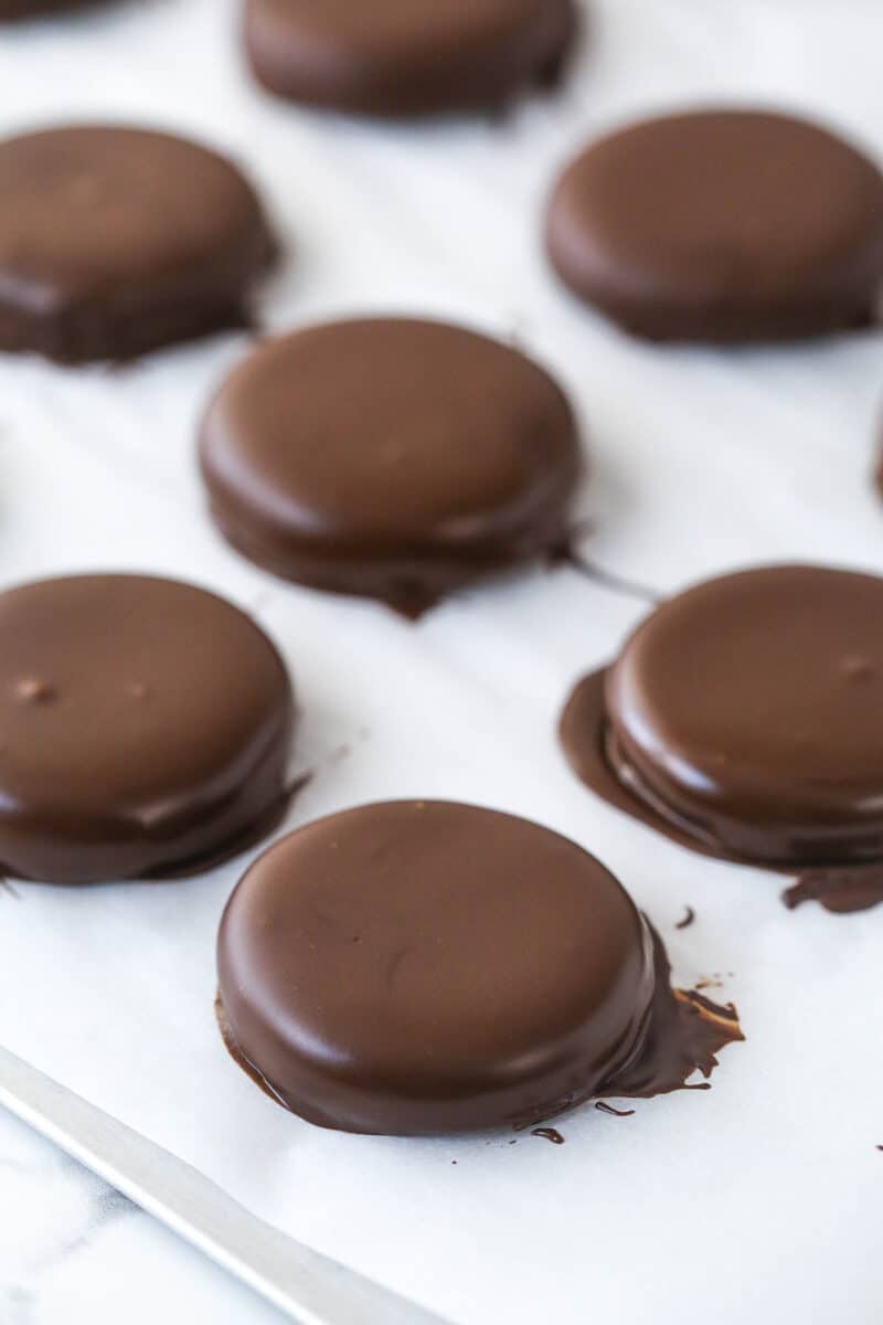 Peppermint patties dipped in chocolate.