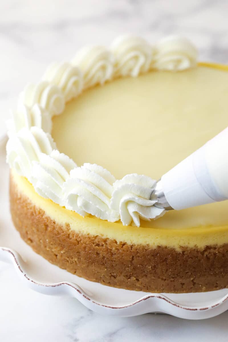 Whipped cream being piped around the outside of a Champagne Cheesecake.