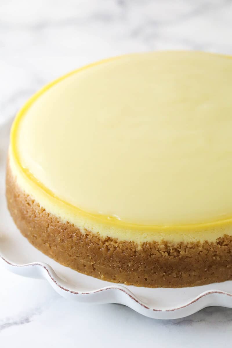 Champagne Cheesecake with champagne topping on top.