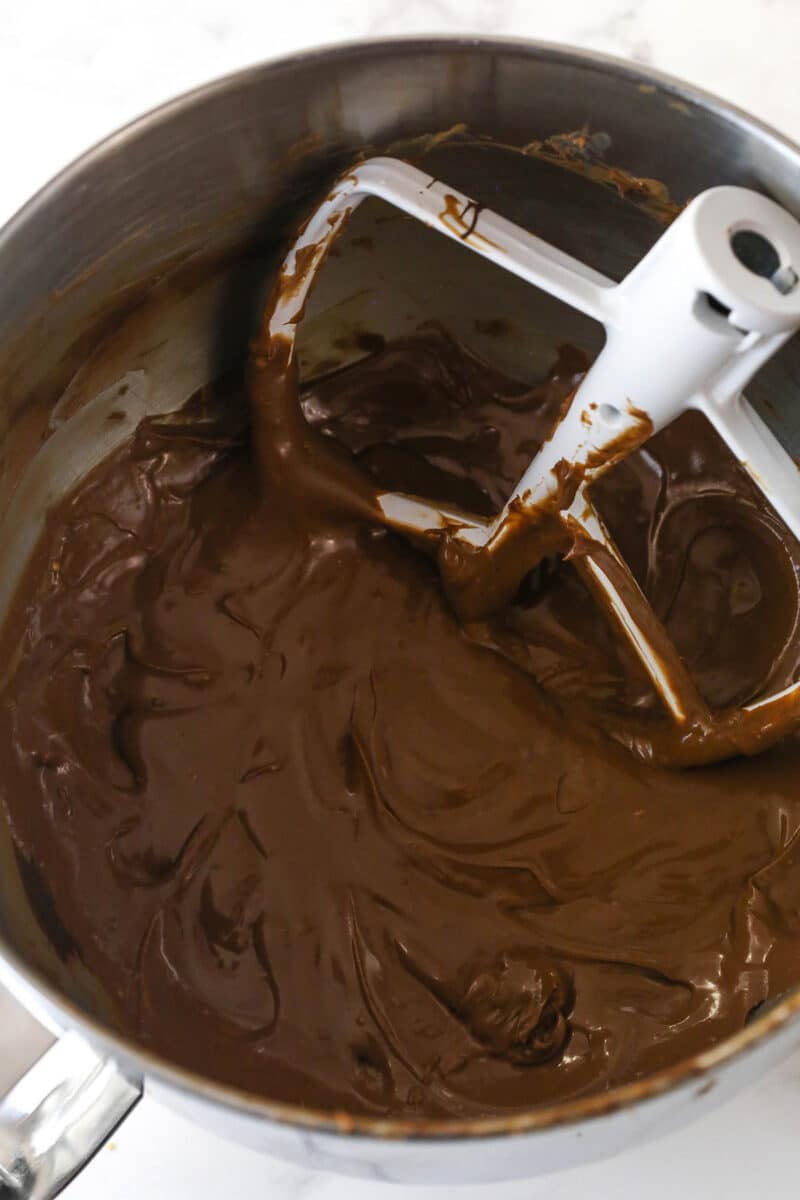 Mixing melted chocolate into chocolate cheesecake batter.