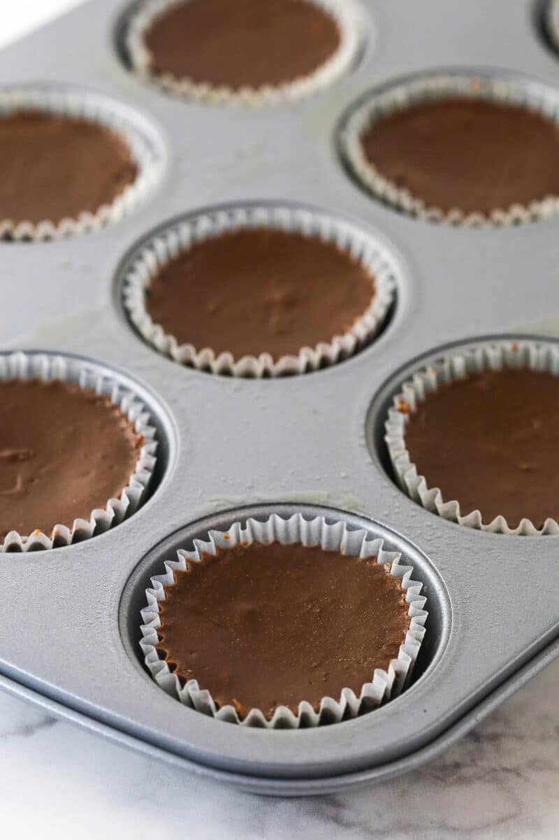 Baked mini chocolate cheesecakes in the pan.
