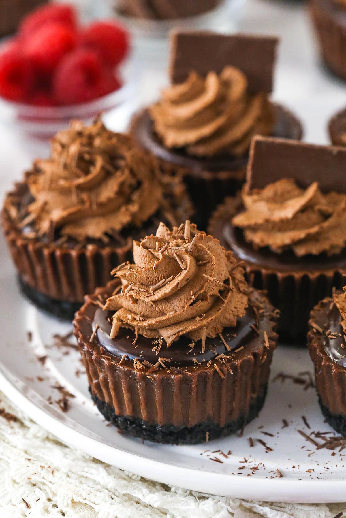 Closeup of mini chocolate cheesecakes on a plate.