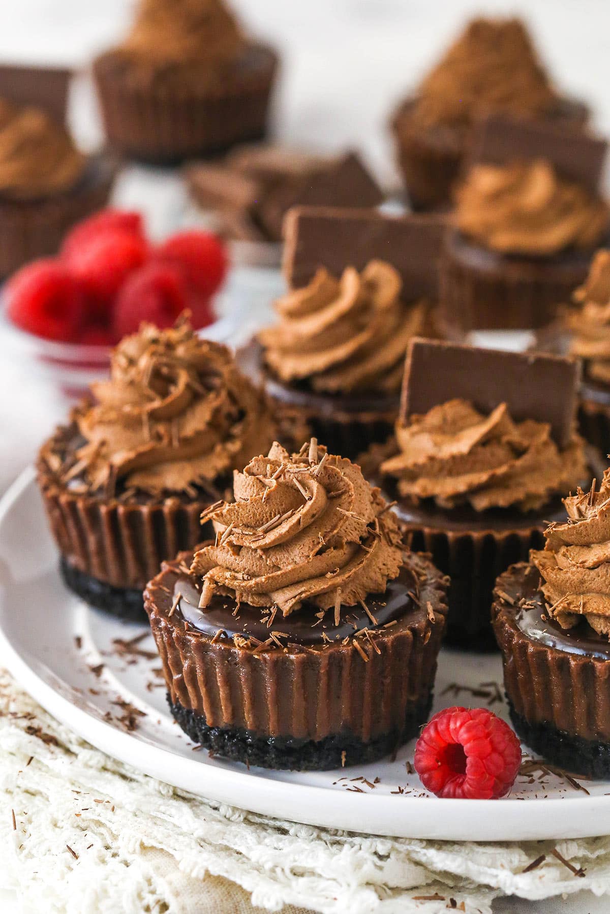 Mini chocolate cheesecakes on a plate with raspberries.