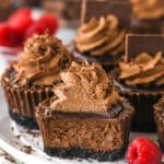 Mini chocolate cheesecakes on a plate. One has a bite taken out of it.