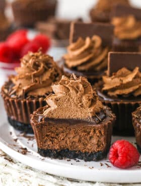 Mini chocolate cheesecakes on a plate. One has a bite taken out of it.