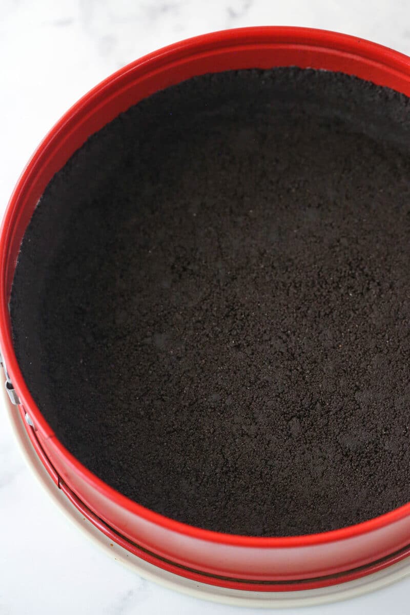 Chocolate crust pressed into a springform pan.