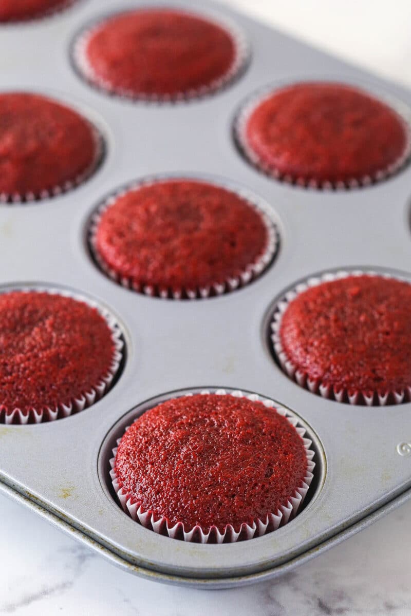 Red velvet cupcakes in a cupcake pan.