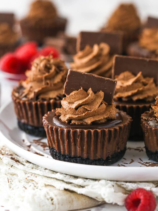 Mini Chocolate Cheesecakes