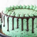 Closeup of mint chocolate cake on a serving plate.