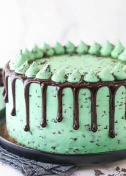 Closeup of mint chocolate cake on a serving plate.