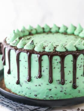 Closeup of mint chocolate cake on a serving plate.