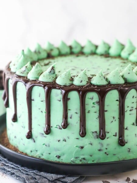 Closeup of mint chocolate cake on a serving plate.