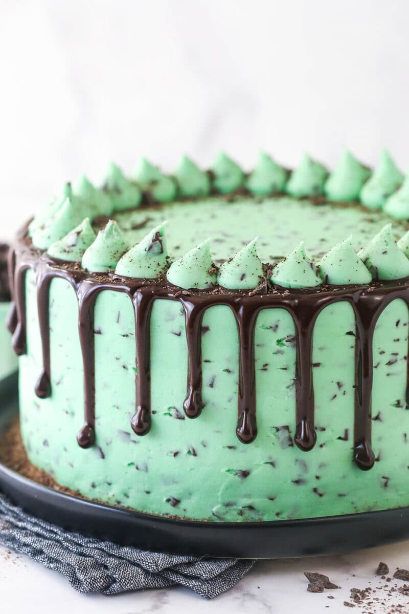 Closeup of mint chocolate cake on a serving plate.