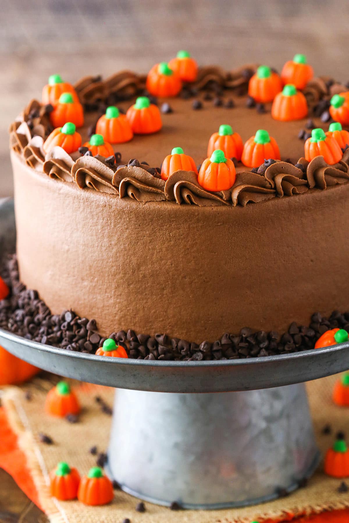 Side view of a full Pumpkin Chocolate Chip Layer Cake on a gray cake stand