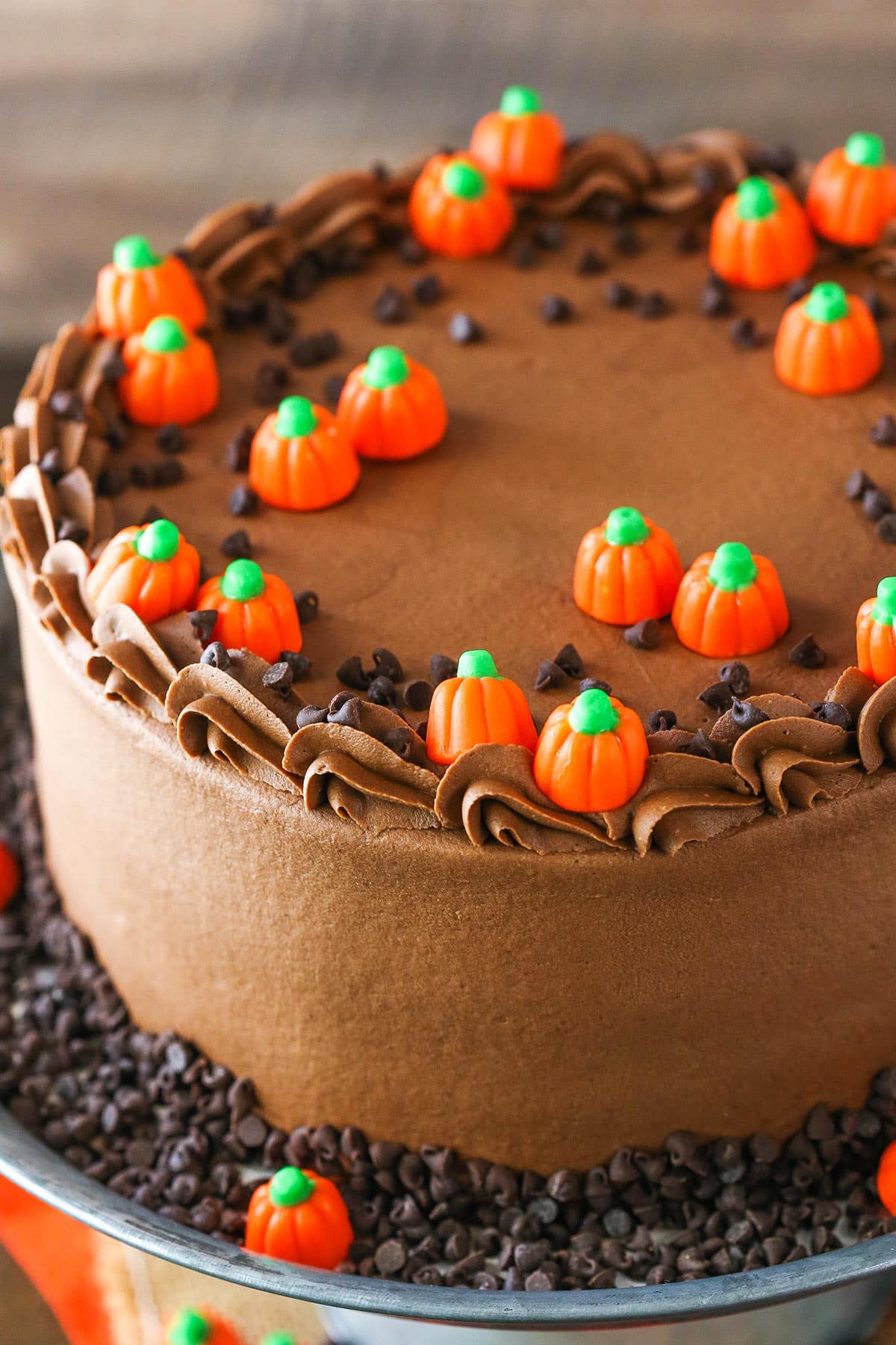 This Pumpkin Chocolate Chip Layer Cake is a tender, moist pumpkin cake with chocolate chips and a smooth chocolate frosting made with melted chocolate! Overhead view of a full Pumpkin Chocolate Chip Layer Cake on a gray cake stand