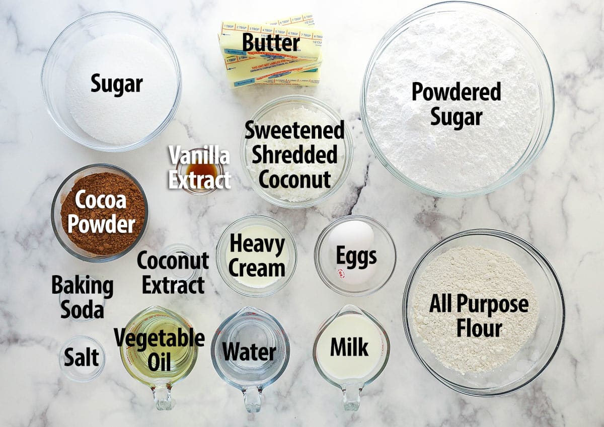 Ingredients for chocolate coconut cake.