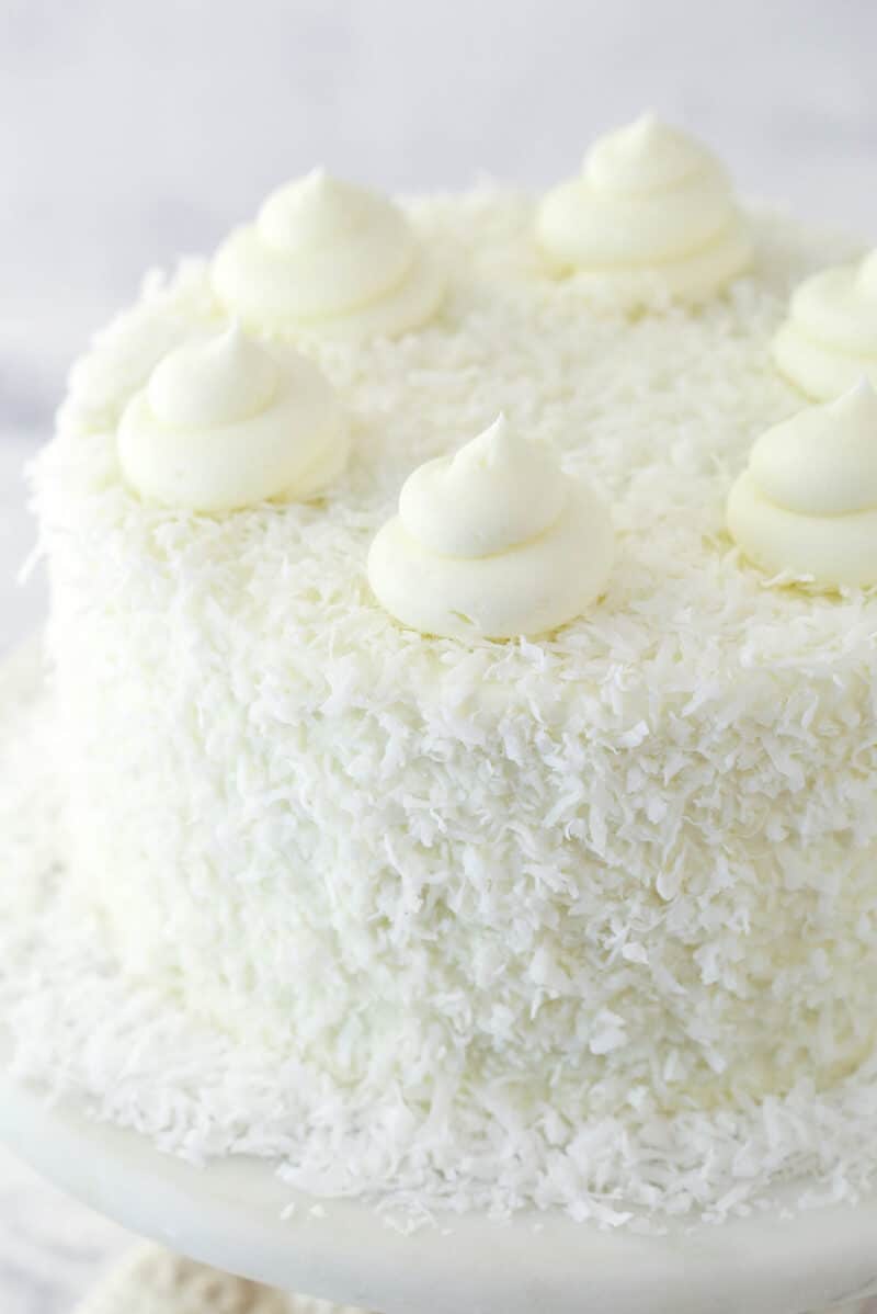 Closeup of coconut chocolate cake on a cake stand.