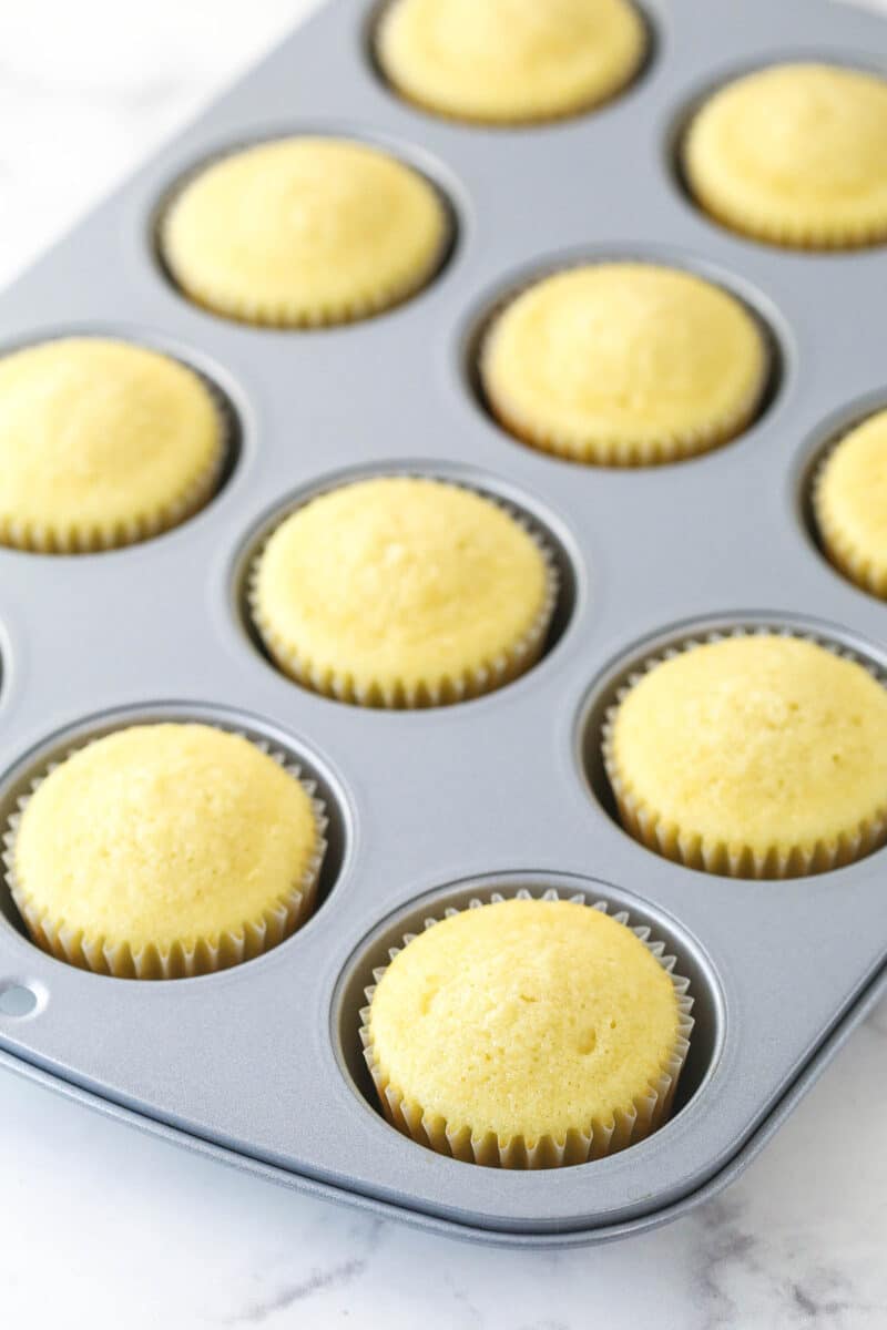 Vanilla cupcakes cooling in the pan.