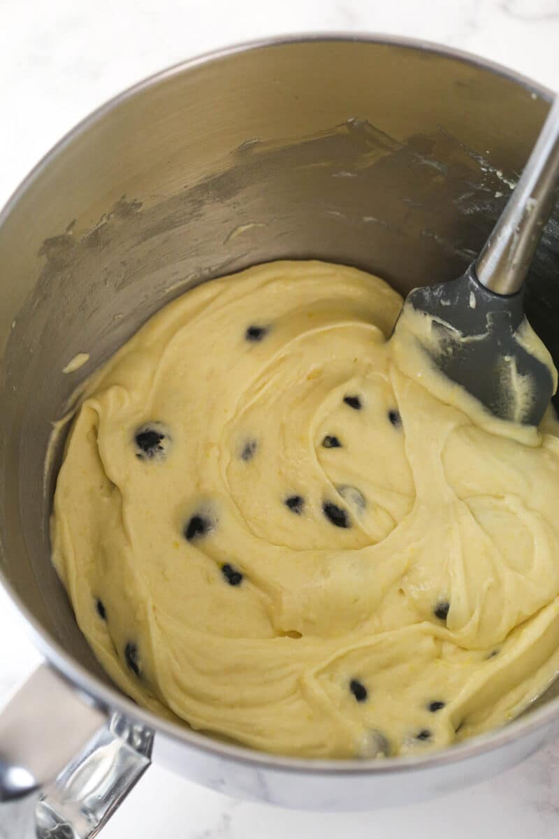 Folding blueberries into lemon cupcake batter.