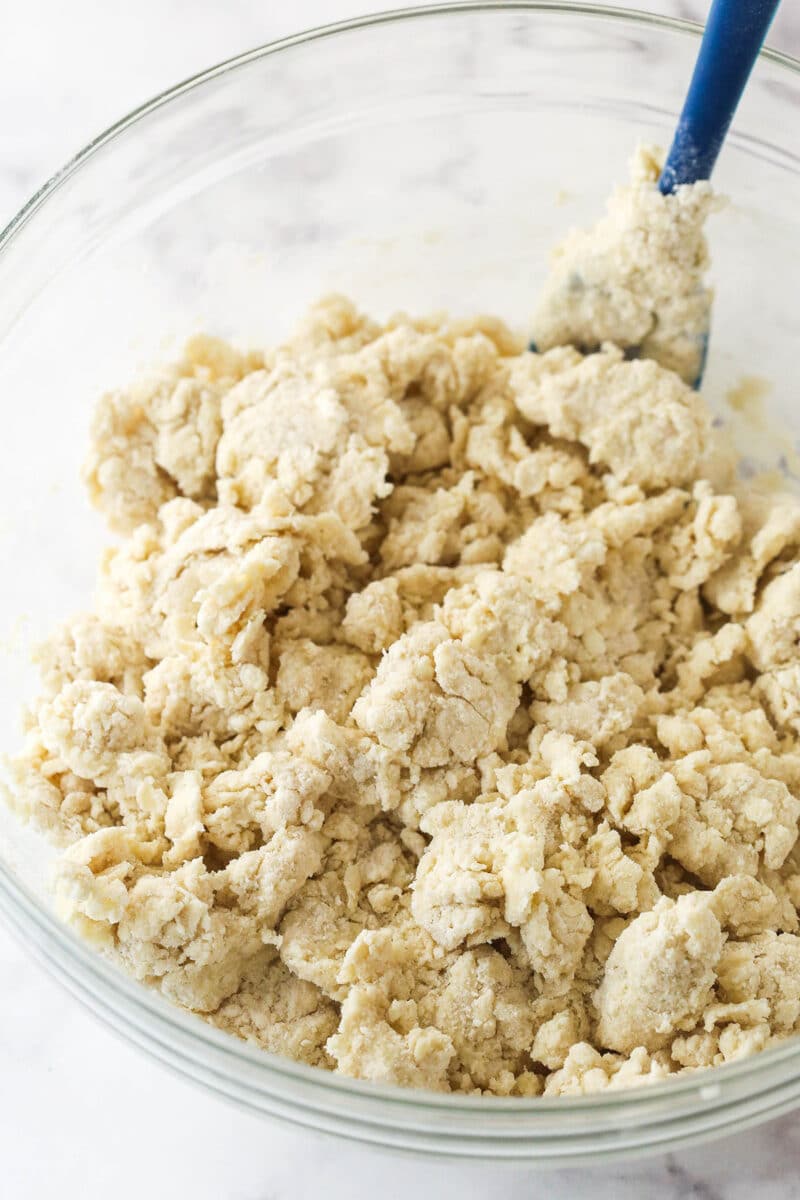 Mixing the wet ingredients into shortcake biscuit dough.
