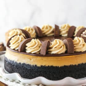 Side view of a Reese's chocolate peanut butter cheesecake