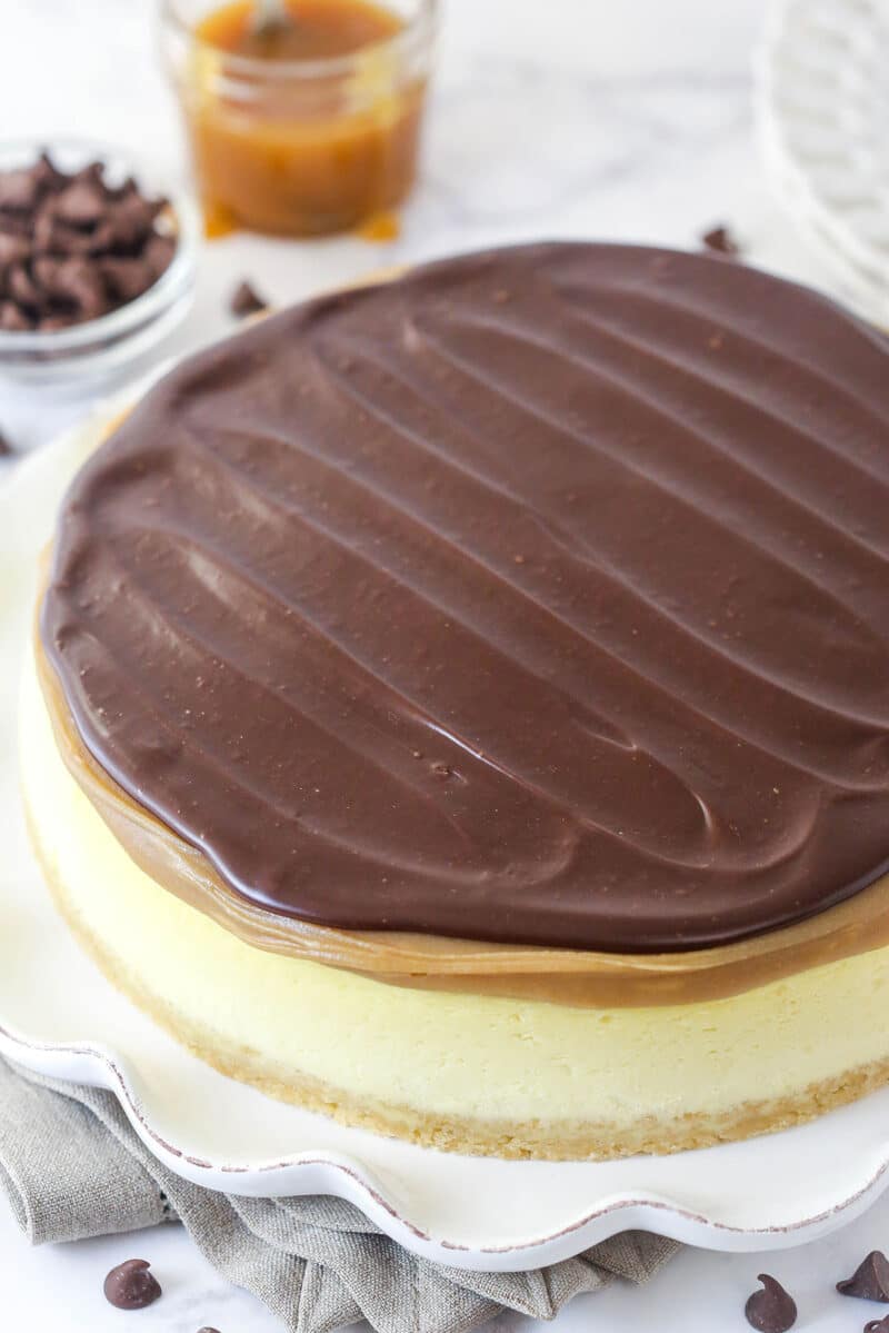 This Millionaire Cheesecake is next level! It's a tangy cheesecake doused in caramel and chocolate ganache atop a buttery shortbread crust. Overhead image of millionaire cheesecake.