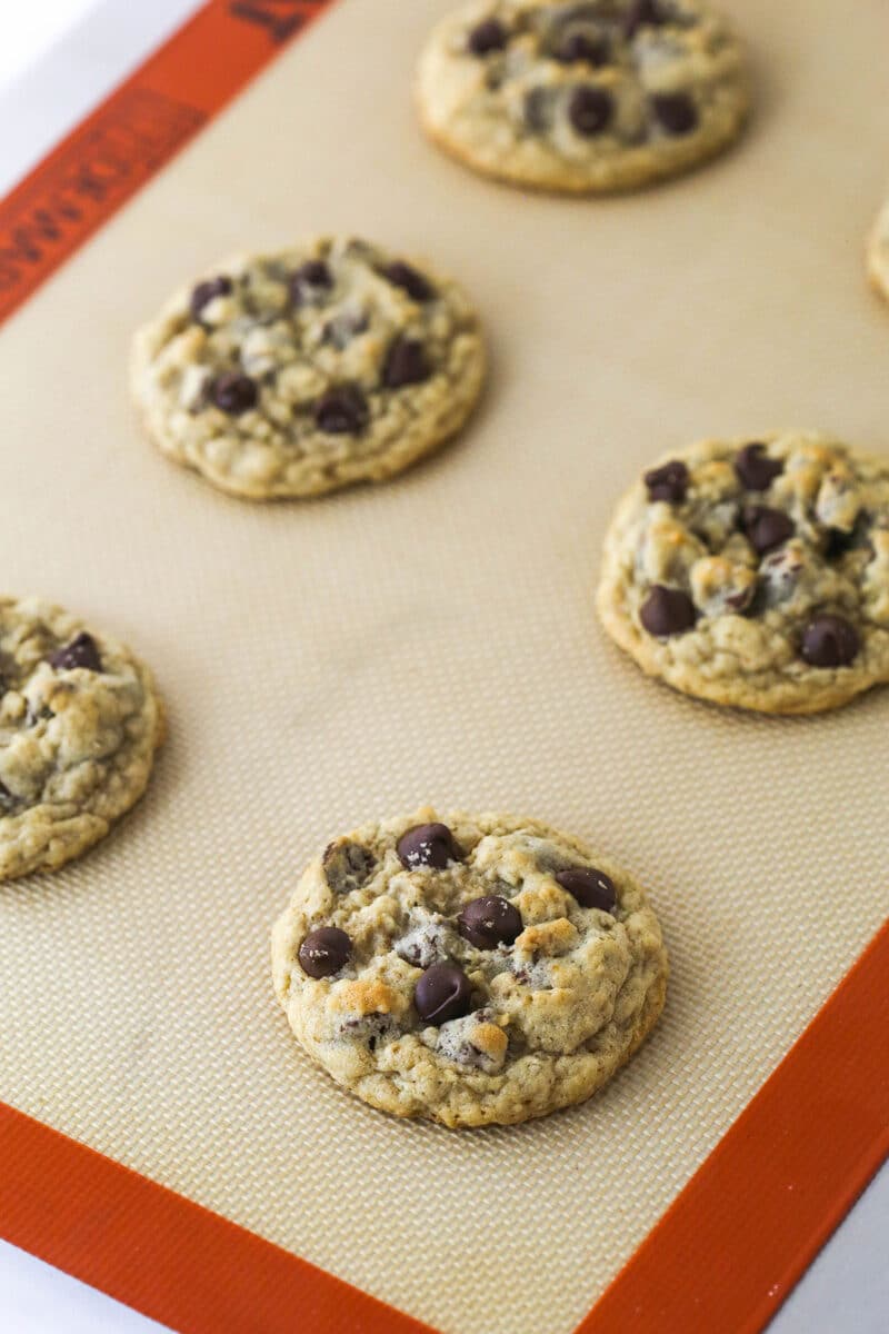 Oatmeal chocolate chip cookies cooling on a baking sheet.